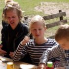 Gallery title (26/44)