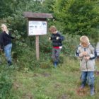 Gallery title (44/44)